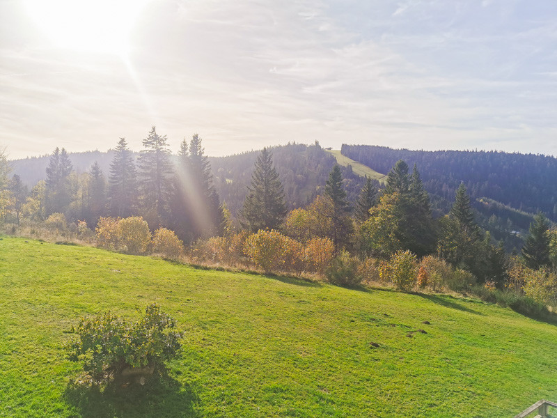 gl052-vue-t-1255228 gl052-vue-t-1255228