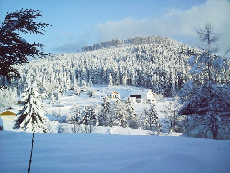 location vacances appartement vosges xonrupt longemer GR023 A634C location vacances appartement vosges xonrupt longemer GR023 A634C