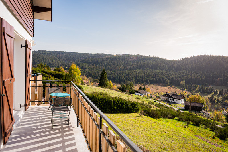 location vacances maison valtin clefcy vosges GI004  location vacances maison valtin clefcy vosges GI004
