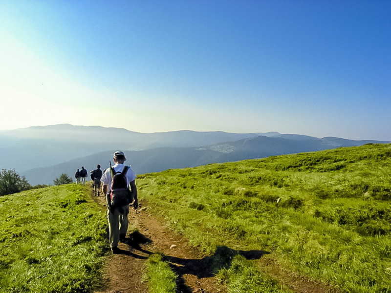 m-vosges-a-niquet-2-1406888