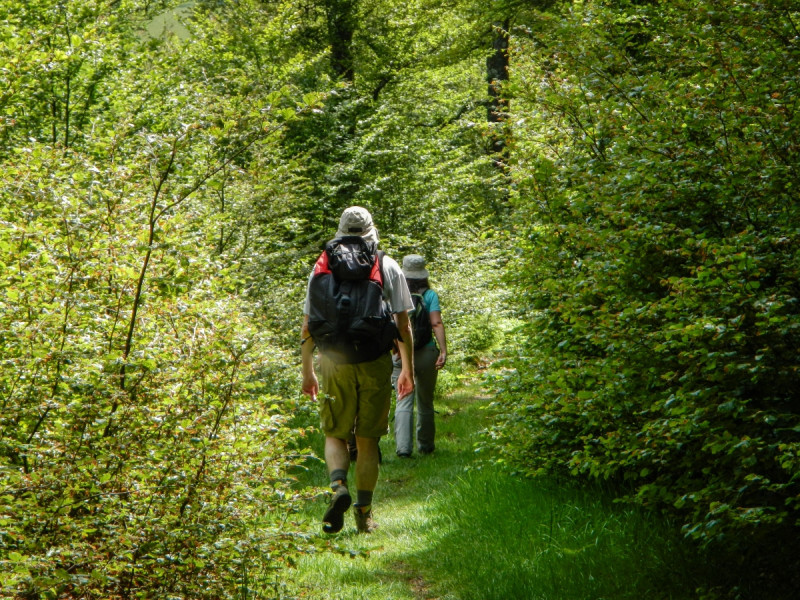 rando-aniquet-117-1241122