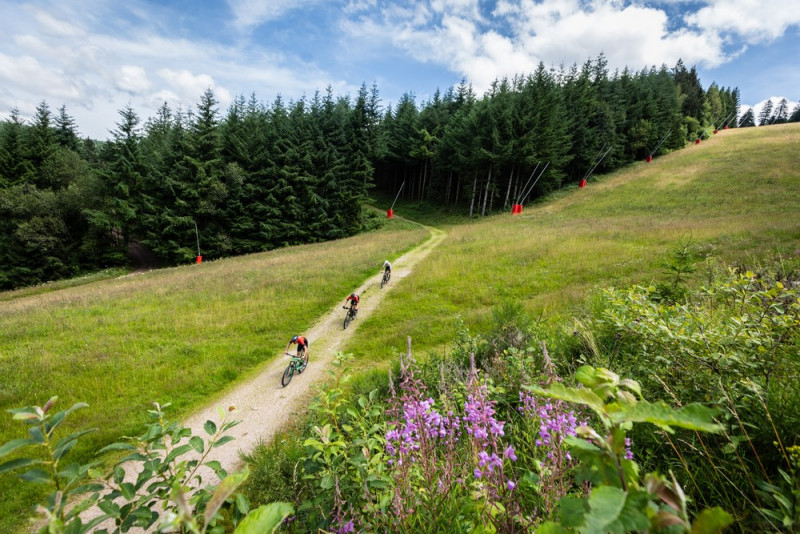 ultra-raid-vosges-14-1324536