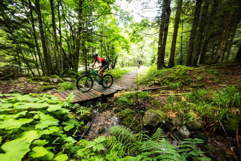 ultra-raid-vosges-3-1324524