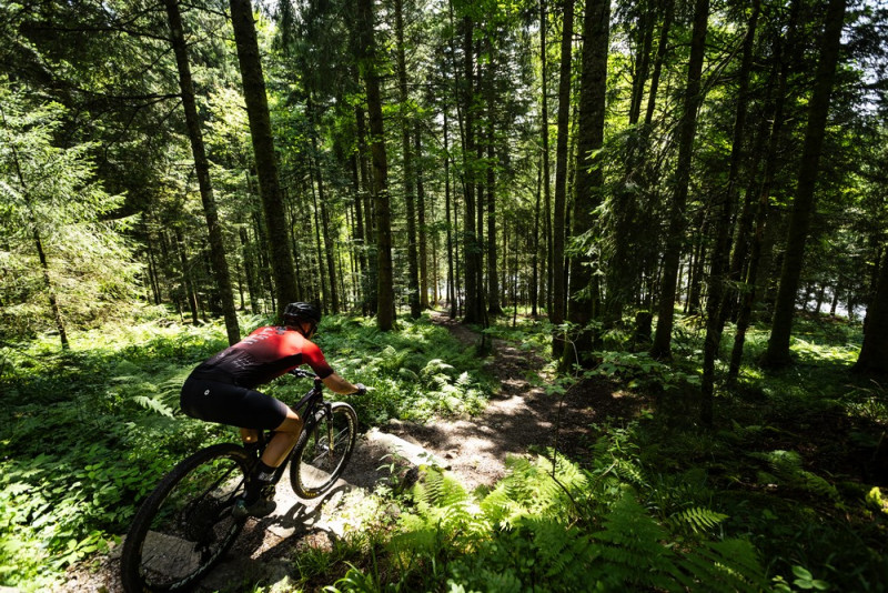 ultra-raid-vosges-7-1324529