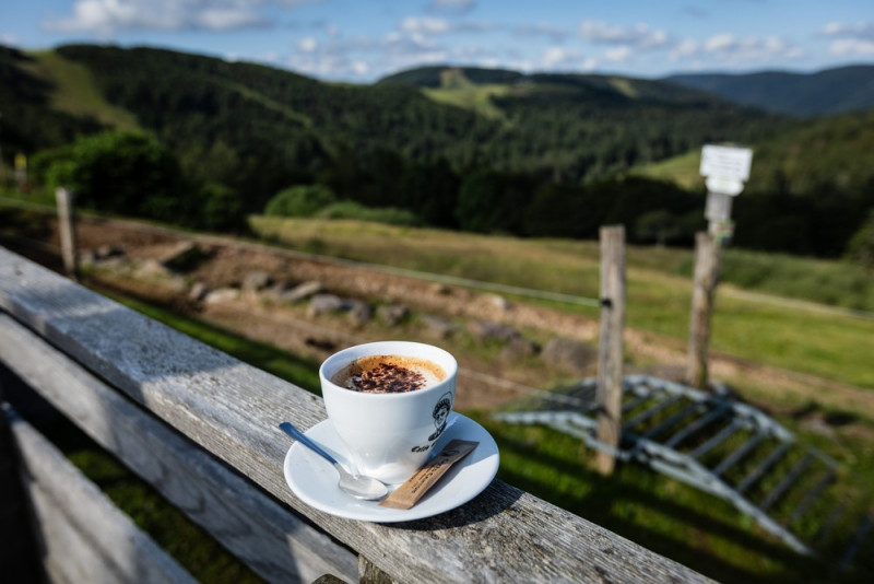 ultra-raid-vosges-9-1324531