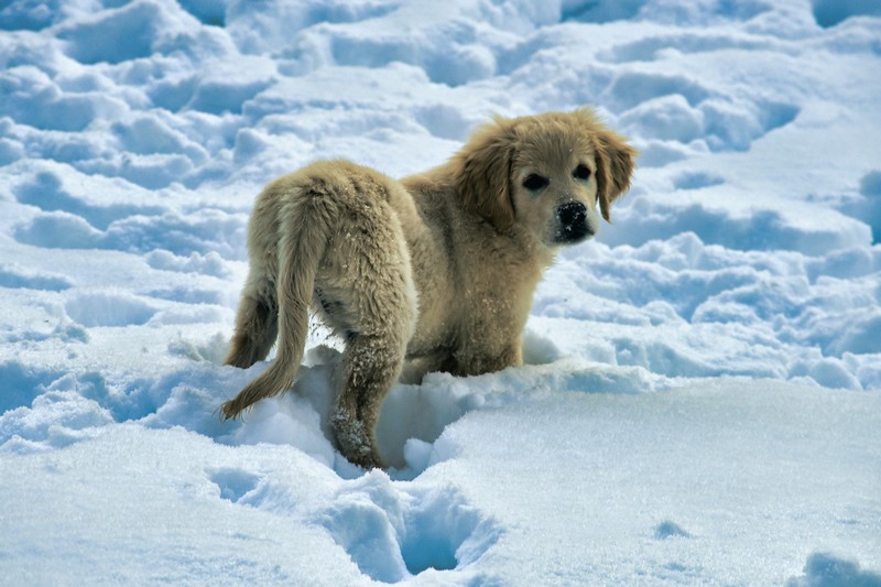 piermario-eva-ps0nl4t6n3e-unsplash-1410068 piermario-eva-ps0nl4t6n3e-unsplash-1410068